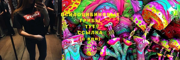 ешки Алексеевка