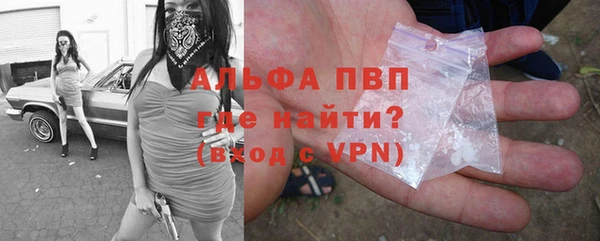 сатива Россошь